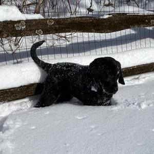 Meet your Posher, Lynn